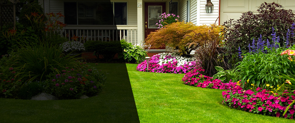 Afton Landscapers